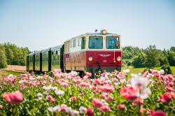 Waldviertelbahn (c) NB/Mikscha