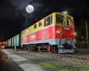 Nostalgie-Abendfahrten zum Moonlight Shopping